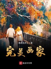完美画家封面