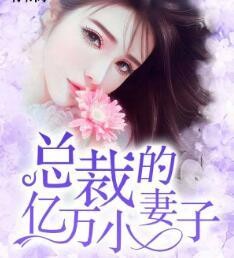 总裁的亿万小妻子封面