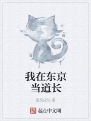我在东京当道长封面