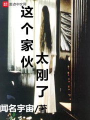 这个家伙太刚了封面