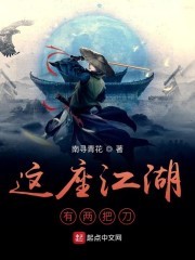 这座江湖有两把刀封面