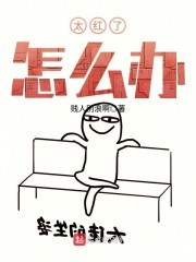 太红了怎么办封面