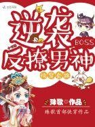 诸葛大力的开挂男友封面