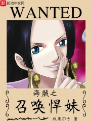 海贼之召唤悍妹封面