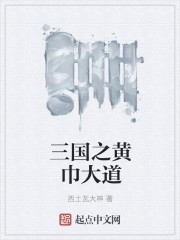 三国之黄巾大道封面