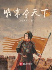 明末夺天下封面