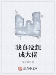 我真没想成大佬封面