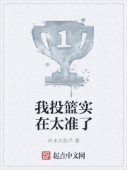 我投篮实在太准了封面