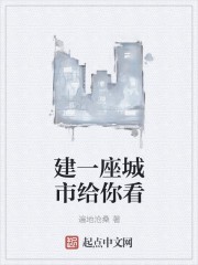 建一座城市给你看封面