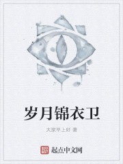 岁月锦衣卫封面
