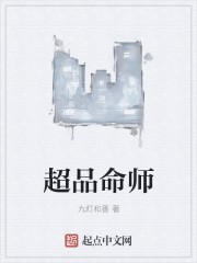 超品命师封面