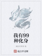 我有99种化身封面