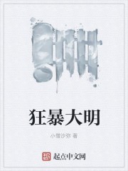 狂暴大明封面