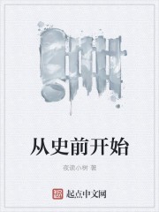 从史前开始封面