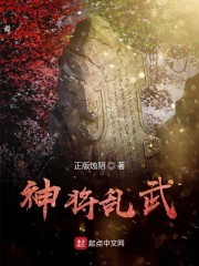 神将乱武封面