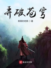 弄破苍穹封面