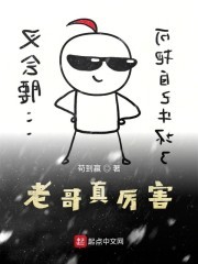 老哥真厉害封面