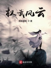权武风云封面