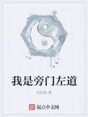我是旁门左道封面