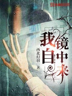 我自镜中来封面