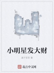 小明星发大财封面