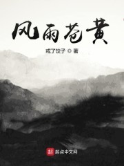 风雨苍黄封面