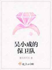 吴小成的保卫队封面
