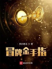 冒牌金手指封面