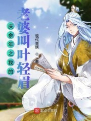 庆余年之我的老婆叫叶轻眉封面