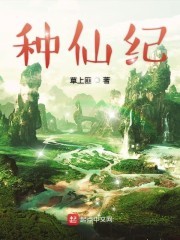 种仙纪封面