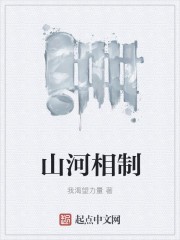 山河相制封面
