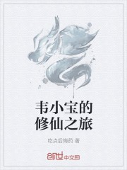韦小宝的修仙之旅封面