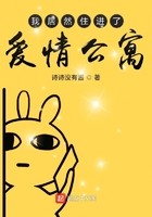 我居然住进了爱情公寓封面