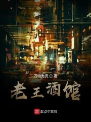 老王酒馆封面