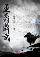 王爵鼎武封面