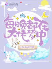 每晚都在大佬梦中封面