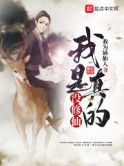 我是真的没修仙封面