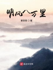 明风八万里封面