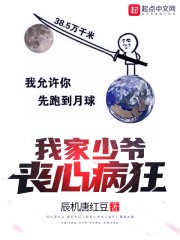 我家少爷丧心病狂封面