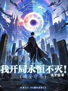 破妄守界封面