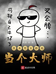我真想安静地当个大师封面