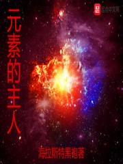 元素的主人封面
