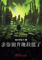 求你别升级技能了封面