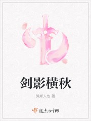 剑影横秋封面