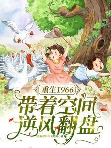 重生1966，带着空间逆风翻盘封面