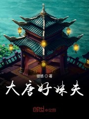 大唐好妹夫封面