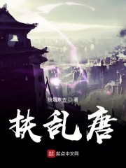 扶乱唐封面