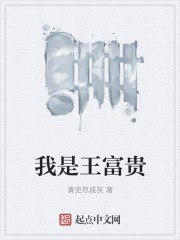 我是王富贵封面