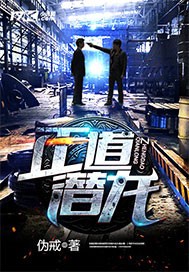正道潜龙封面