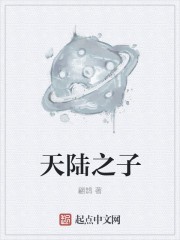 天陆之子封面